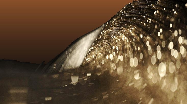 Ngói Âm Dương Banner